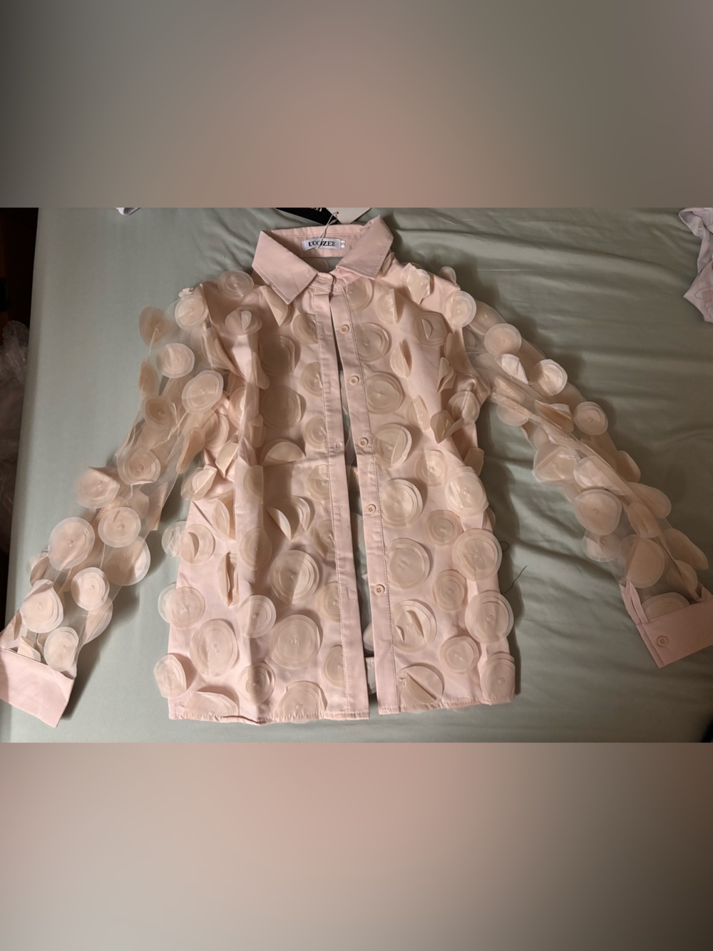 Sheer Circle Appliqué Button-Down Blouse - Pink